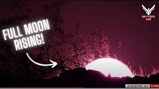 LIVE SkyOps Fireside Plane Spotting❤️Moon, Stars + PHX Sky Harbor Traffic