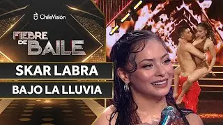 SKAR LABRA - REGGAETON💃 BAJO LA LLUVIA ✨ Fiebre de Baile