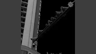 Total Surveillance