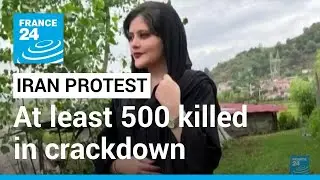 Iran protests, 4 months on: Human rights group say at least 500 killed in crackdown &bull; FRANCE 24