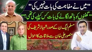 How are relations between PMLN & Establishment now? | Mansoor Ali Khan meets Shahbaz Sharif