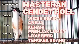 MASTERAN DAN PANCINGAN CENDET GACOR ROLL TEMBAK FULL MATERI