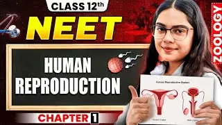 Class 12th ZOOLOGY Chapter 1 | Human Reproduction in ONE SHOT | Class 12th NEET