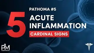 Pathoma#5 Acute Inflammation, Cardinal Signs for NRE/FCPS exams