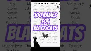 100 Best BLACK CAT NAMES for black cats 🐈&zwj;⬛