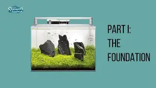 Aquascaping for Beginners Superfish Scaper 60 Setup & Cabinet Build  Mountain Style Part 1
