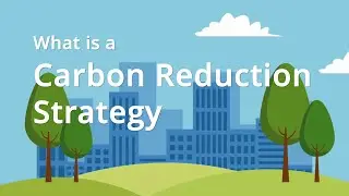 What is a Carbon Reduction Strategy?