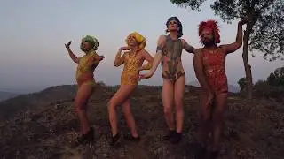 I Will Survive Preview Video w reference copy