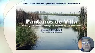 Individuo y medio ambiente - Avance Portafolio 2   Ronny Caceres   Pantanos de Villa