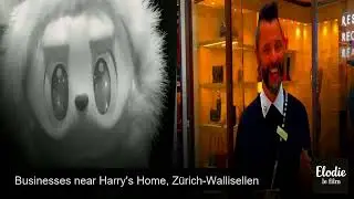 Harrys Home Zrich - Convenient Hotel Airport Access Switzerland