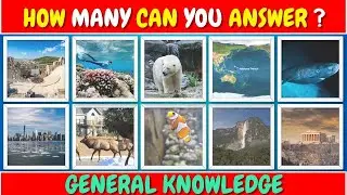 Only a genius can answer all 25 questions! | Fun Quiz Game | QuizVerse