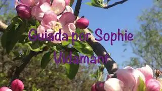 Contemplaci&oacute;n genuina del cuerpo seguida de la pr&aacute;ctica de los 6 sonidos sanadores