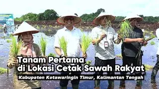 Tanam Pertama dilokasi Cetak Sawah di Kabupaten Kotawaringin Timur