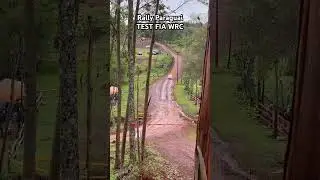 WRC Paraguay Test Event 2025 #wrc #rally #paraguay #volkswagen