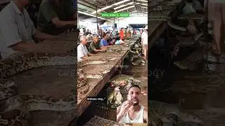 china snake🐍 market 🤔🤔 #streetfood #vlog #animals