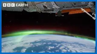 The Science Behind Nature's Extraordinary Phenomenona | BBC Earth Science