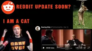 😼DeepFuckingValue Admits He's A CAT😱 (Possible Reddit UPDATE?)🧾