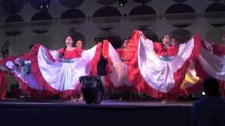TIERRA LIBRE PAJARO CHOGUI