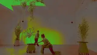 BIOSENSITIVE PERFORMING ARTS - KOHEI NAKATSU, SIMONE CEDAR, POLYGALA, PICEA & BAMBOO