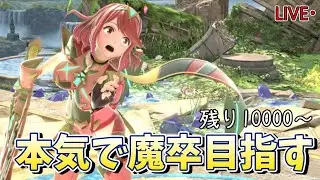 【魔卒まで残り10000！！】ホムヒカでVIPの猛者を蹴散らして速攻魔卒行きするぞ！！！！Pt2【スマブラSP】【スマブラSP】