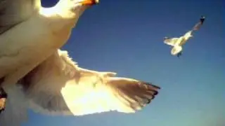 Ivana Spagna : So Volare