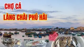 Chợ cá  buổi sáng ở  làng chài Phú Hài, Phan Thiết ❤️  Phan Thiết Phố  🏝