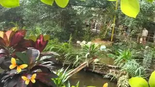 Ein Paradies auf  Erden