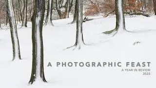 Фотографический пир зимнего вдохновения | Изображения, определившие мой год