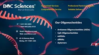 What is Oligonucleotide Synthesis? - Phosphoramidite Method - BOC Sciences