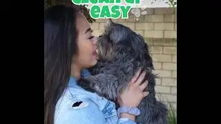 Turn dog poop pick-up to fun!