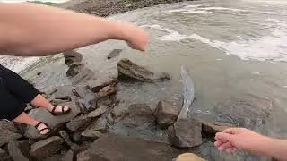 SPOONBILL and Sand BASS on light TACKLE | Ft. Gibson DAM