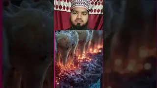 islamic reaction video #islam #shorts #reaction