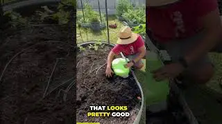 In-ground composter for Raised beds