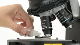 Microscope lenses uses