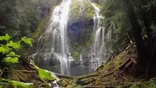 Proxy Falls - Oregon - Good Walks