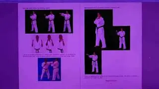 preview: Ashihara Karate: Sabaki - the Essential Guide to Mastering the Art Book