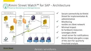 Rimini Street Watch para SAP &ndash; Monitoring as a Managed Service