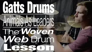 Animals as Leaders 