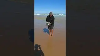 Rescue Wild Bird Trapped in Fishing Line