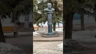 Цена цветов 2024 в марте #8марта #тюльпаны #мимоза