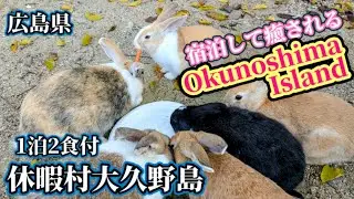 【うさぎ島大久野島】今年も元気なウサギに癒されに大久野島を訪れました