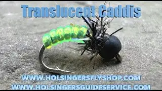Translucent Caddis, Holsinger's Fly Shop