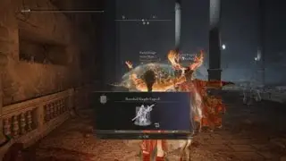 CO-OP is so much fun, especially with Animae_Raptr: ELDEN RING NG+