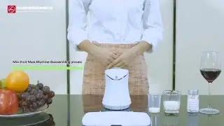 Fruit mask machine-mini  DIY natural  mask