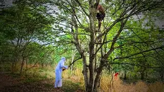 ÉPICO! Fuga nos árabes e combate contra eles em cima da árvore