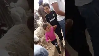 سوق الماشية بتنانت