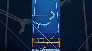 #love #song #djokovic #dailyvlog