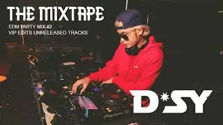EDM Party Mix 2025 l DSY Remix Unreleased Tracks #2