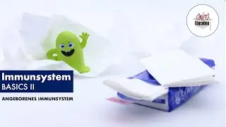Immunsystem Basics II: Angeborene Immunit&auml;t
