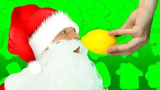 Yummy Vegetables & Fruits with Santa  - Kids Songs with Max